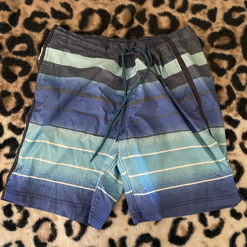 Men’s Blue and Gray Swim Trunks Shorts Bathing Suit Size L Large 🏝
